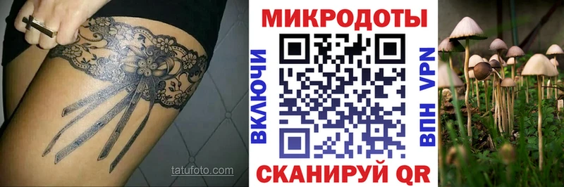 Купить закладки  Покров  Галлюциногенные грибы прущие грибы 